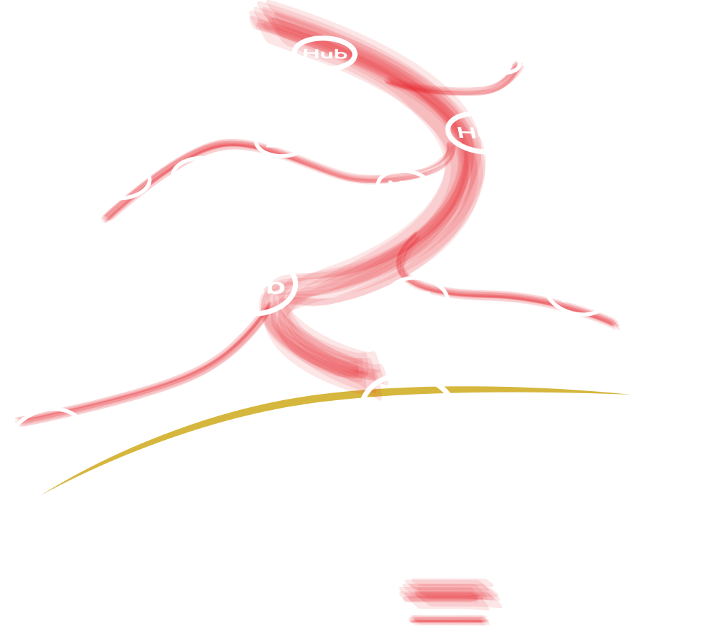 Reseau03-En